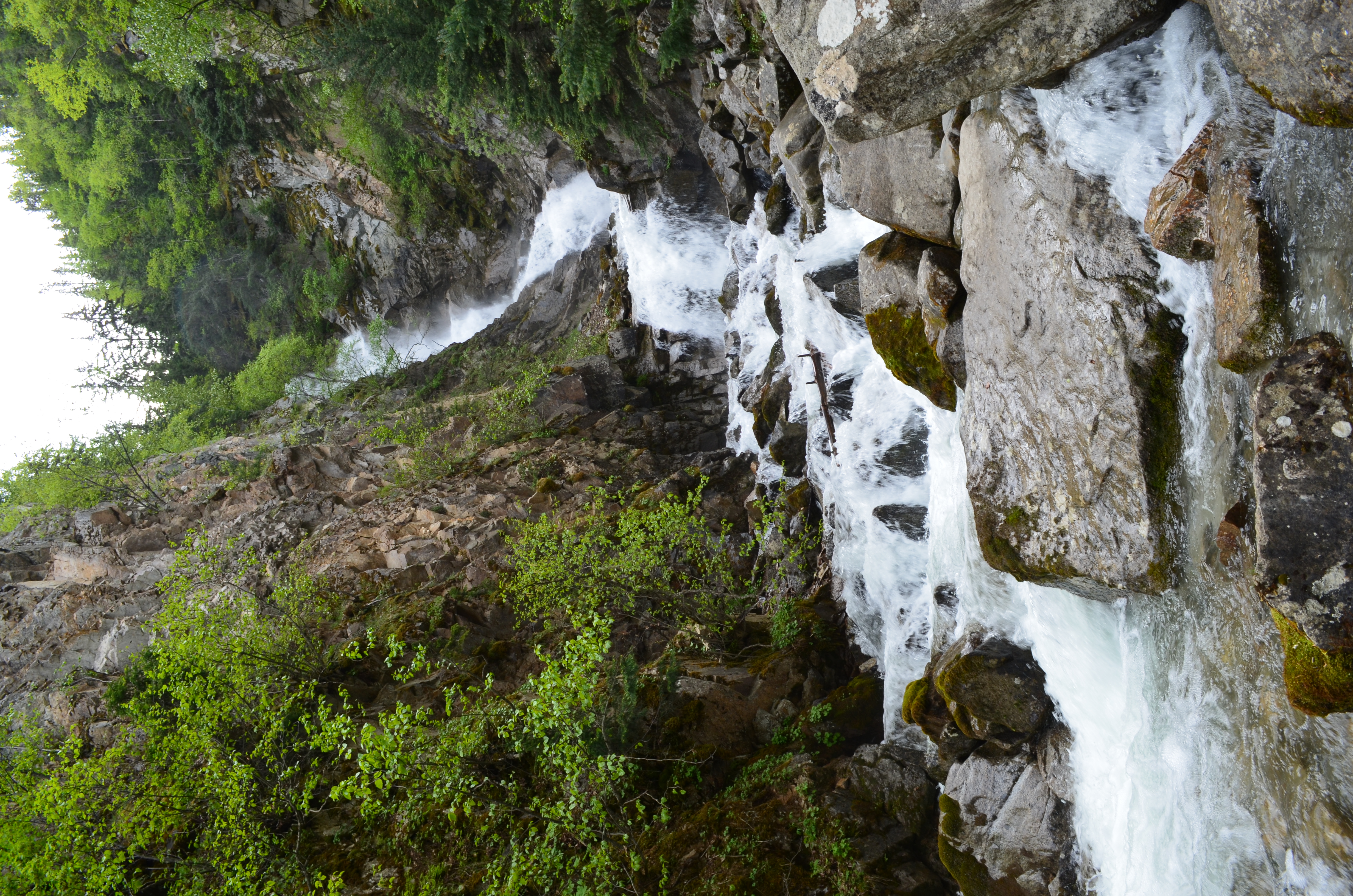 ./2017/08 - Alaska Cruise/09 - Skagway/DSC_0027.JPG